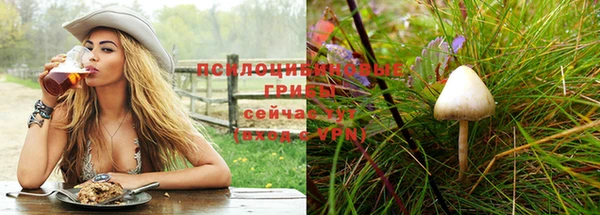 круглые Алексеевка