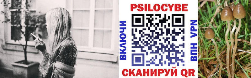 Галлюциногенные грибы MAGIC MUSHROOMS  Славск 