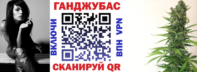 Шишки марихуана конопля  как найти наркотики  Славск 
